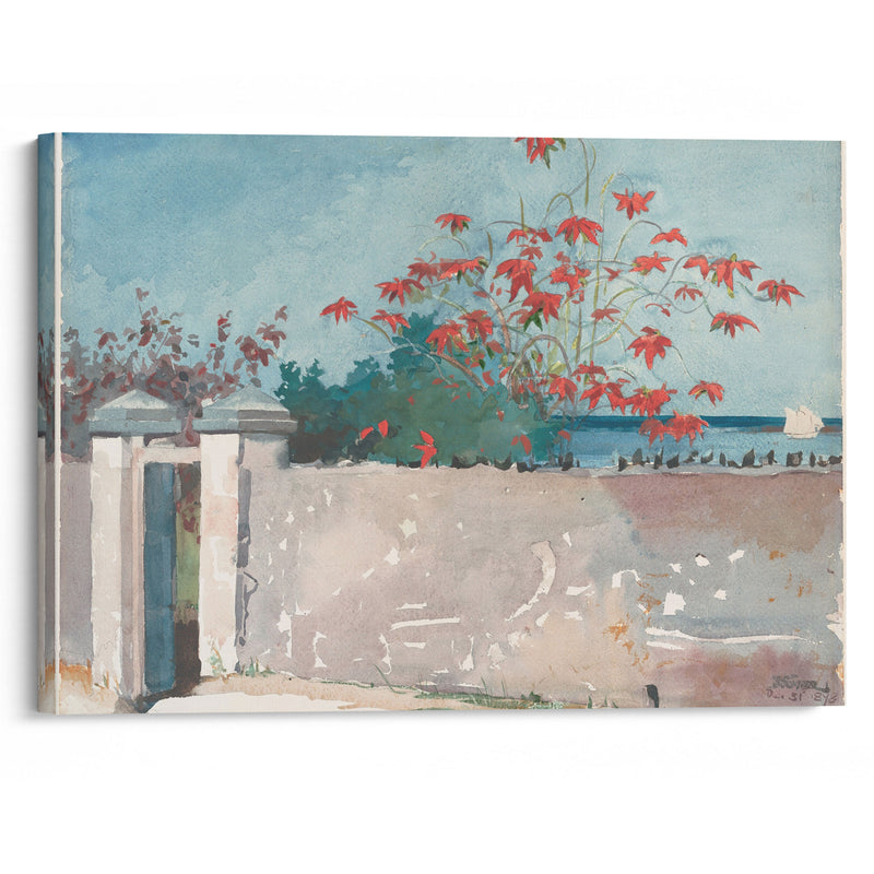 A Wall, Nassau (1898) - Winslow Homer - Canvas Print