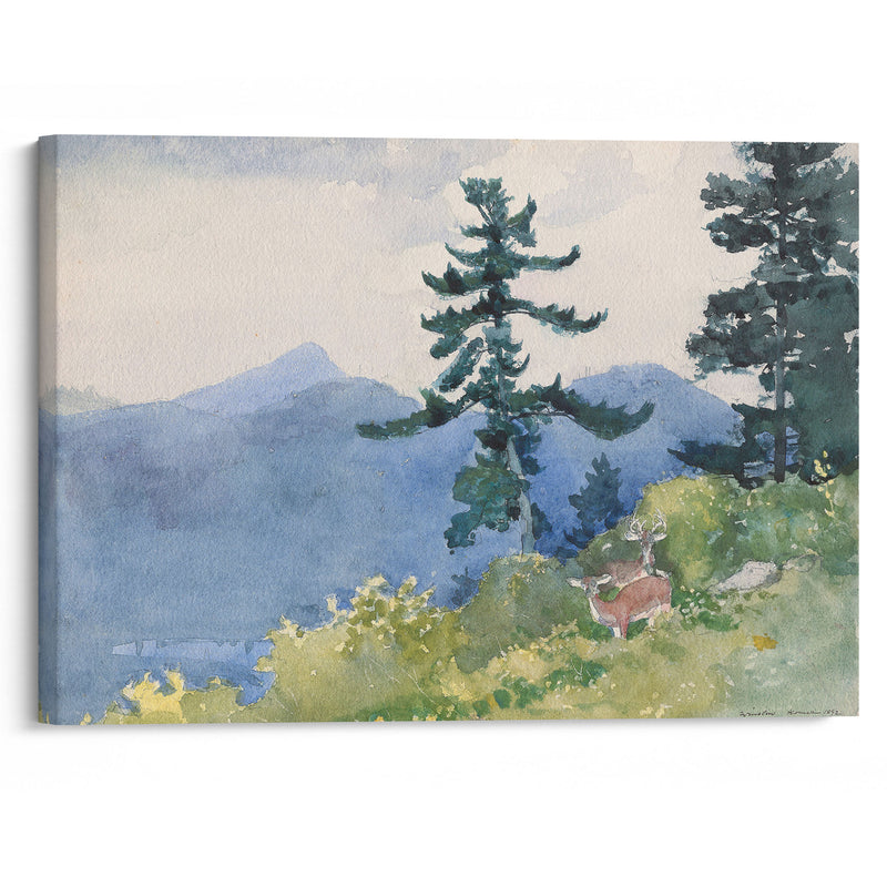 North Woods Club, Adirondacks (The Interrupted Tete-a-Tete) (1892) - Winslow Homer - Canvas Print