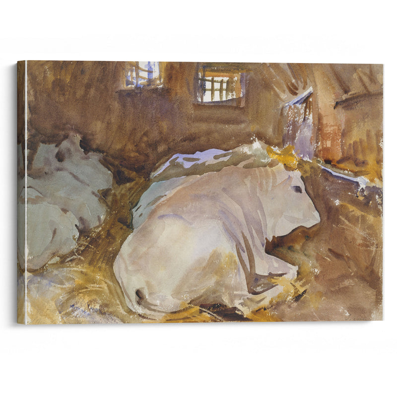 Oxen (circa 1910) - John Singer Sargent - Canvas Print