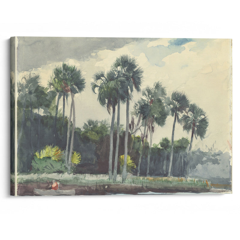 Red Shirt,Homosassa, Florida (1904) - Winslow Homer - Canvas Print