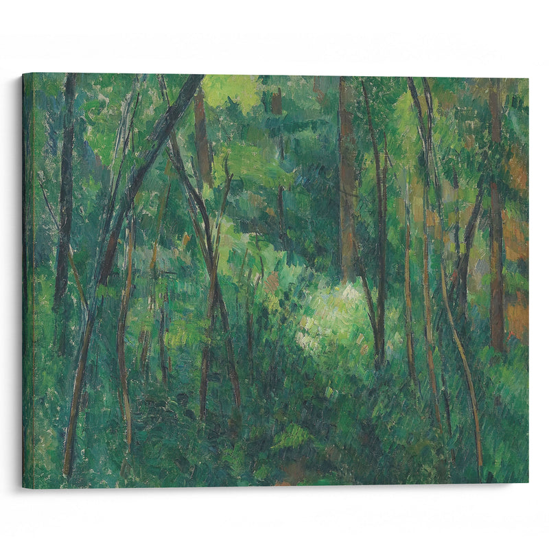 Interior of a forest (1880 - 1890) - Paul Cézanne - Canvas Print