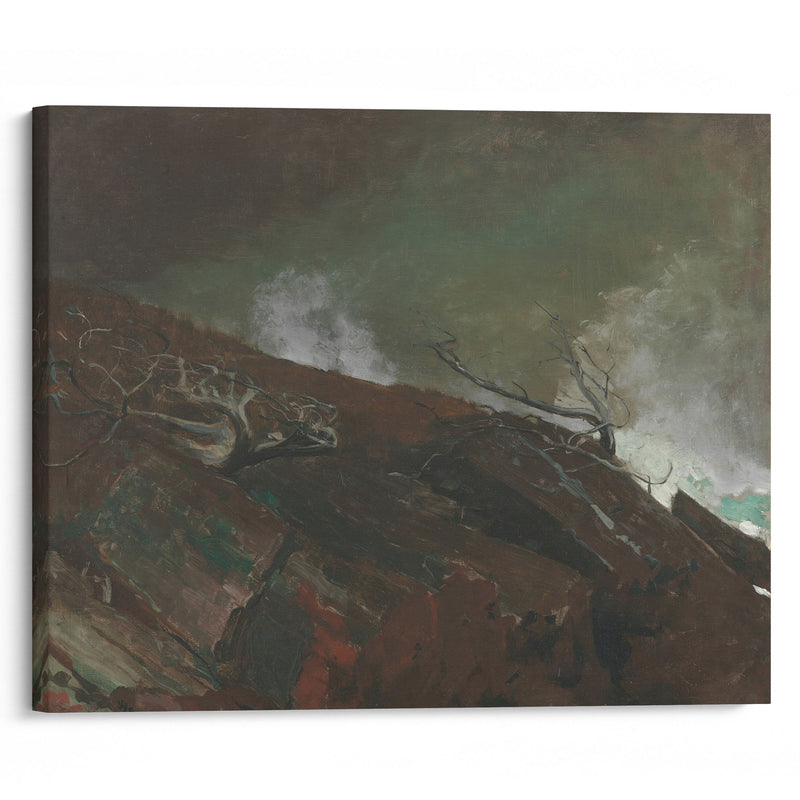 Coast of Maine (1893) - Winslow Homer - Canvas Print