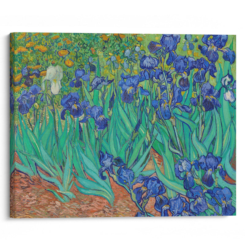 Irises (1889) - Vincent van Gogh - Canvas Print - UAIO LMT