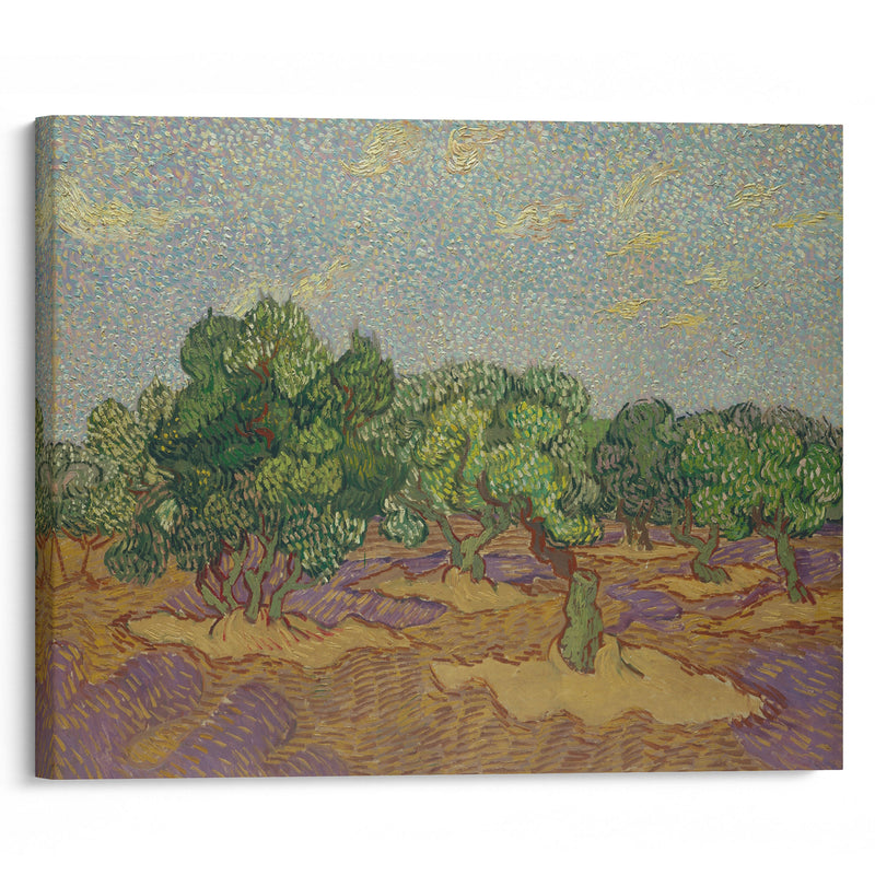 Olive Trees (1889) - Vincent van Gogh - Canvas Print - UAIO LMT