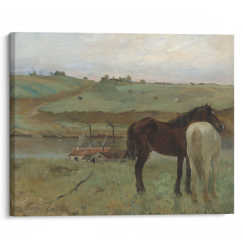 Horses in a Meadow (1871) - Edgar Degas - Canvas Print