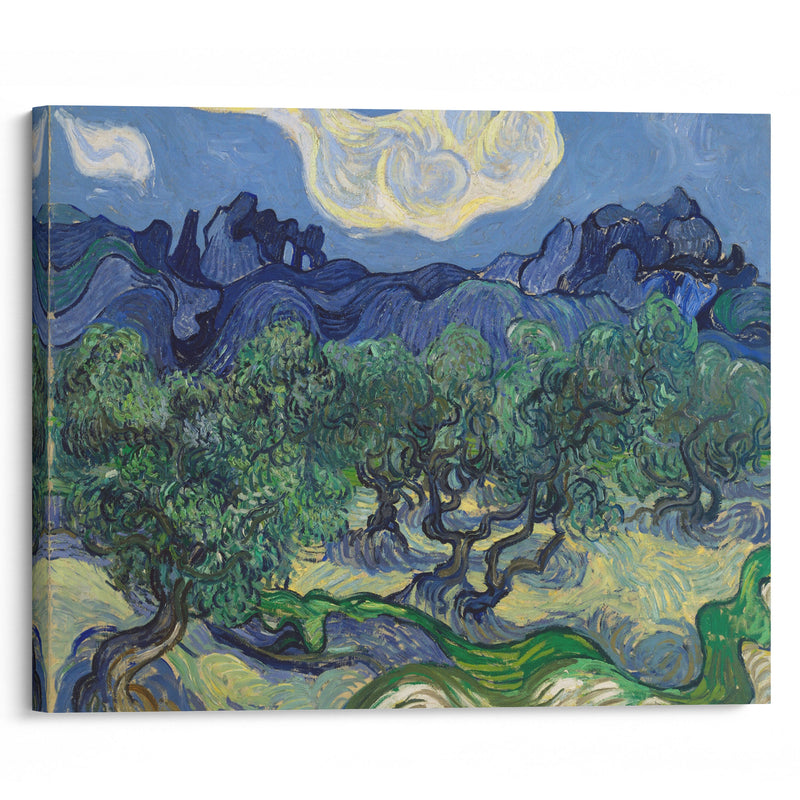 The Olive Trees (1889) - Vincent van Gogh - Canvas Print - UAIO LMT