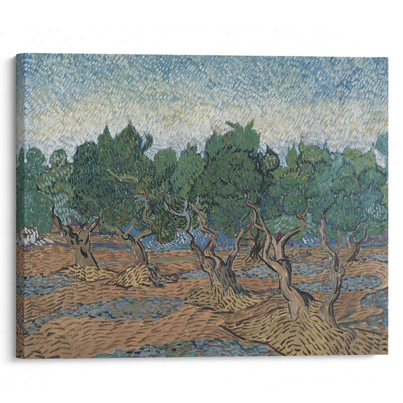 Olive grove - Vincent van Gogh - Canvas Print - UAIO LMT