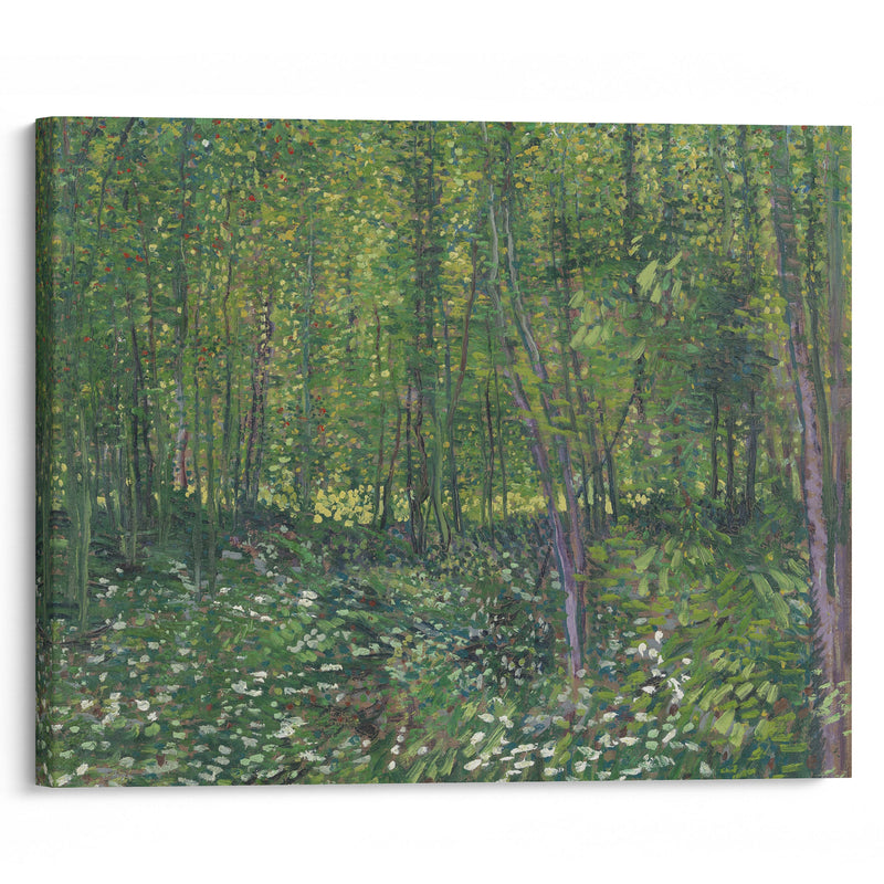 Trees and undergrowth (1887) - Vincent van Gogh - Canvas Print