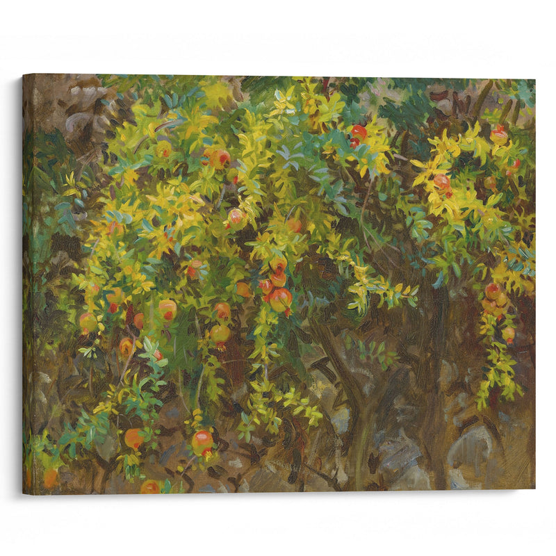 Pomegranates, Majorca - John Singer Sargent - Canvas Print