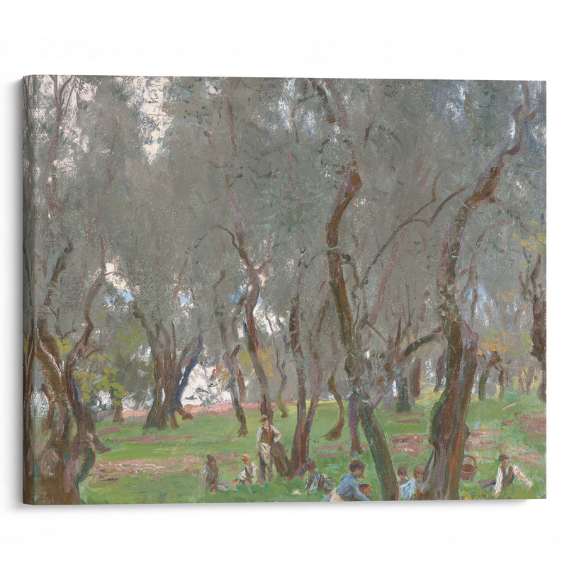 The Olive Grove (1910) - John Singer Sargent - Canvas Print