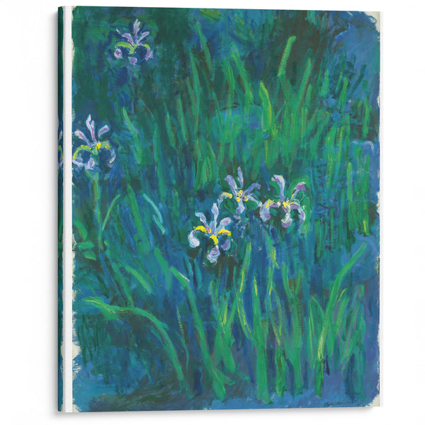 Iris - Claude Monet - Canvas Print