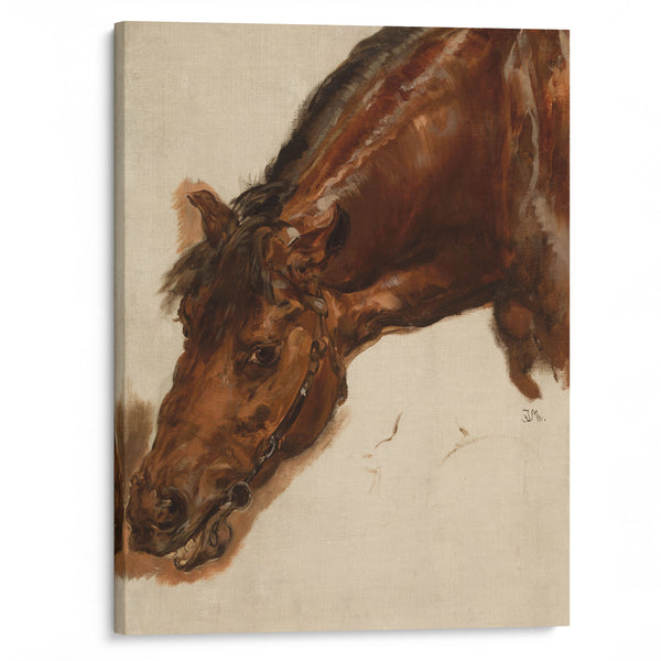 Study of a horse head (1875) - Jan Matejko - Canvas Print