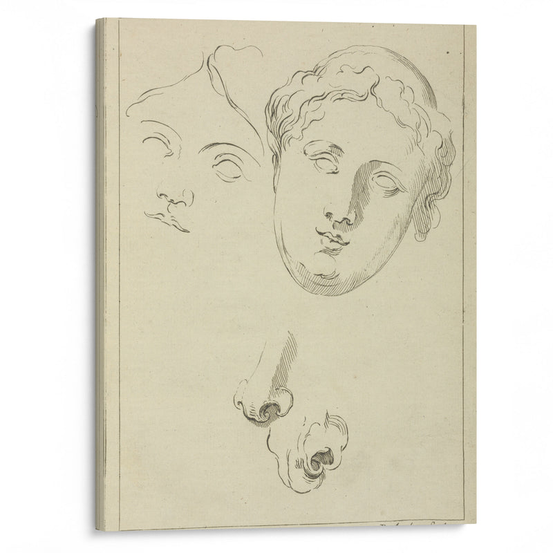 Two human female faces and two noses–one human, animal - Peter Paul Rubens - Canvas Print