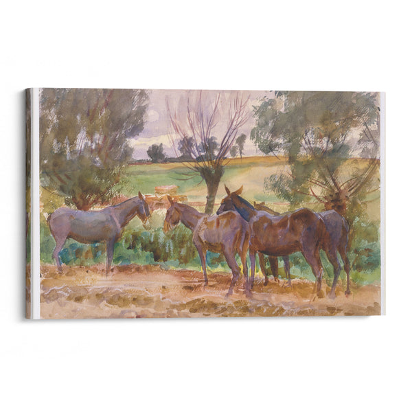 Mules (1918) - John Singer Sargent - Canvas Print