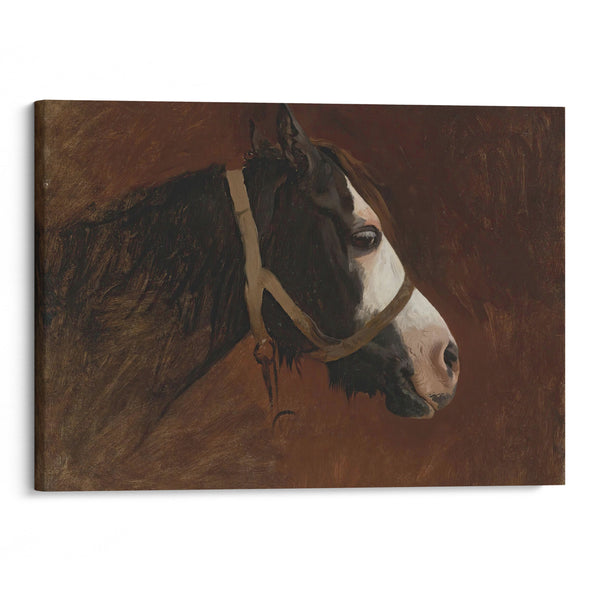 Profile Of A Horse - Jean-Léon Gérôme - Canvas Print