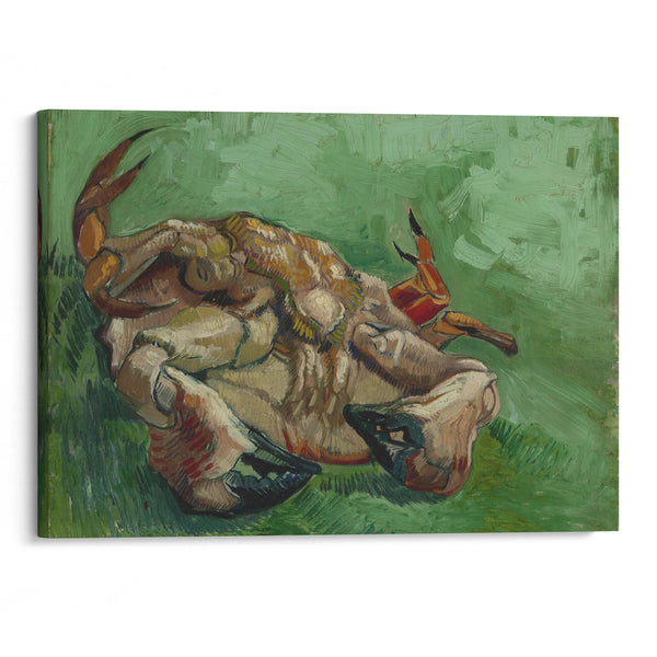 A crab on its back (1888) - Vincent van Gogh - Canvas Print