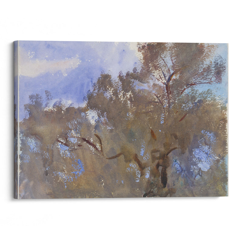 Treetops against Sky (1909–13) - John Singer Sargent - Canvas Print