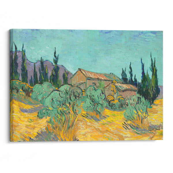 Cabanes de bois parmi les oliviers et cyprès (1889) - Vincent van Gogh - Canvas Print