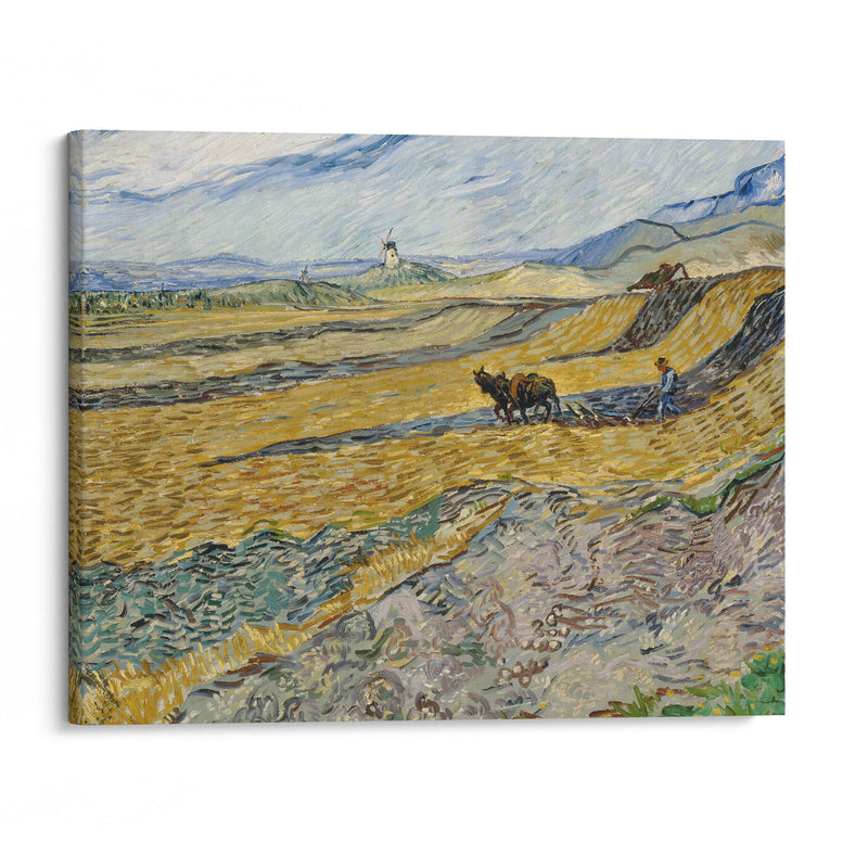 Enclosed Field with Ploughman (1889) - Vincent van Gogh - Canvas Print - UAIO LMT