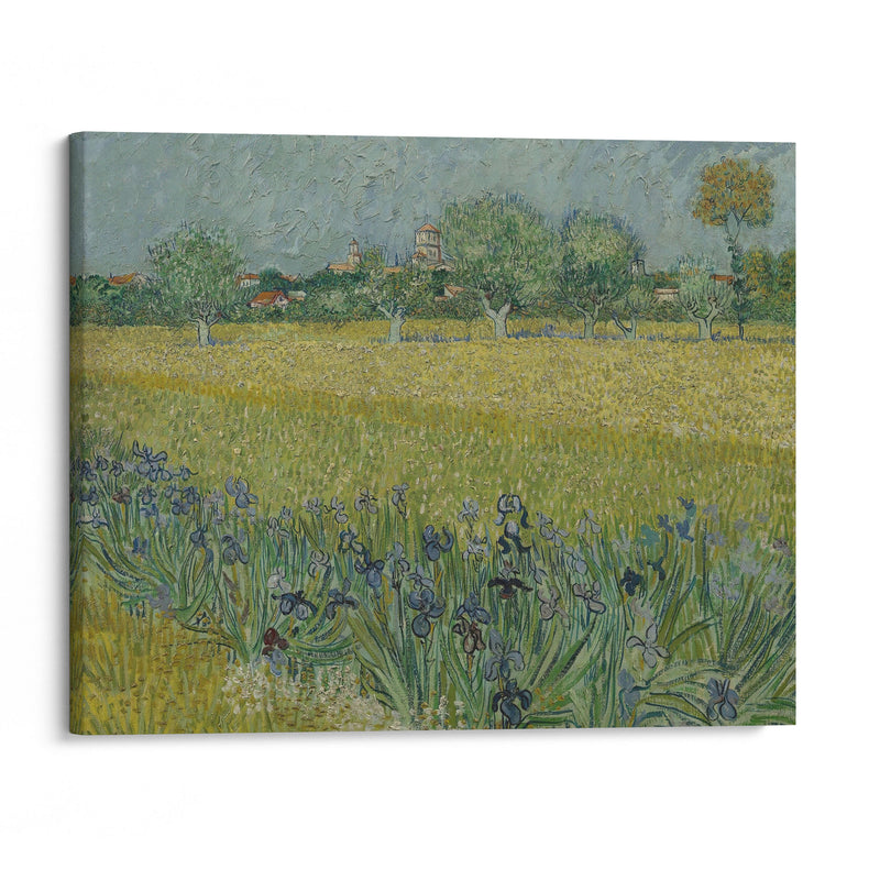 View of Arles with Irises (1888) - Vincent van Gogh - Canvas Print