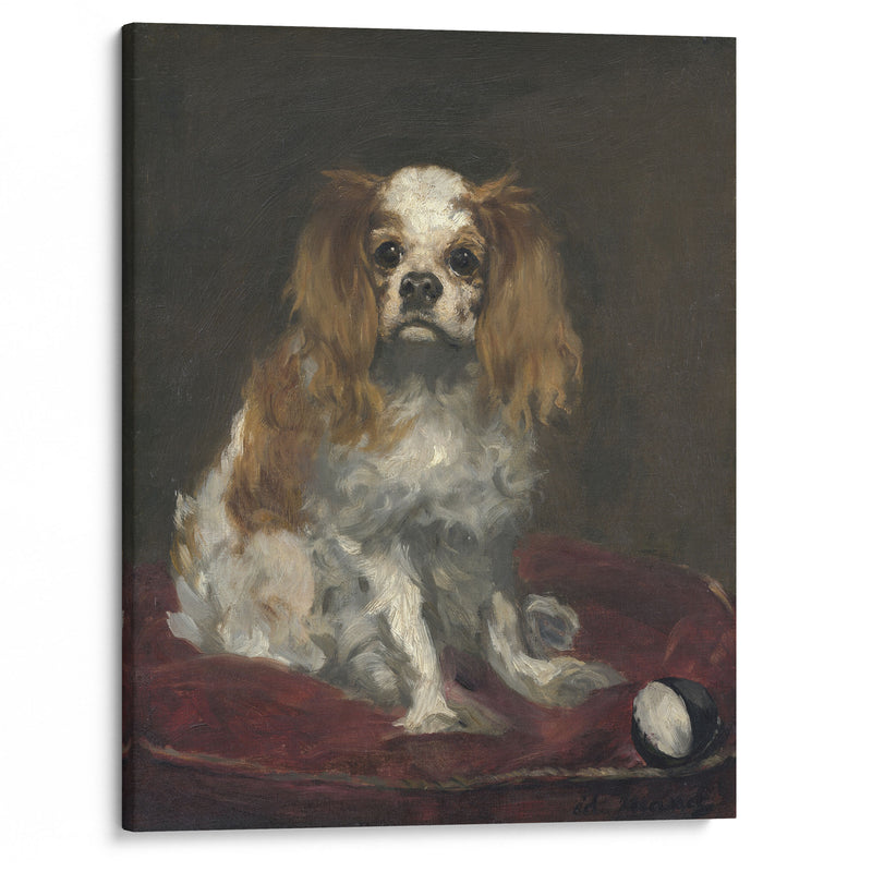 A King Charles Spaniel (c. 1866) - Édouard Manet - Canvas Print