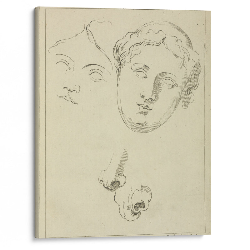 Two human female faces and two noses–one human, animal - Peter Paul Rubens - Canvas Print