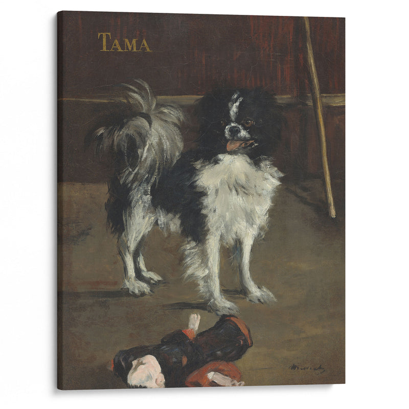 Tama,the Japanese Dog (c. 1875) - Édouard Manet - Canvas Print