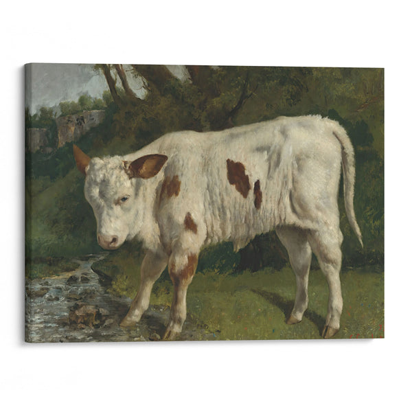 Le Veau Blanc - Gustave Courbet - Canvas Print