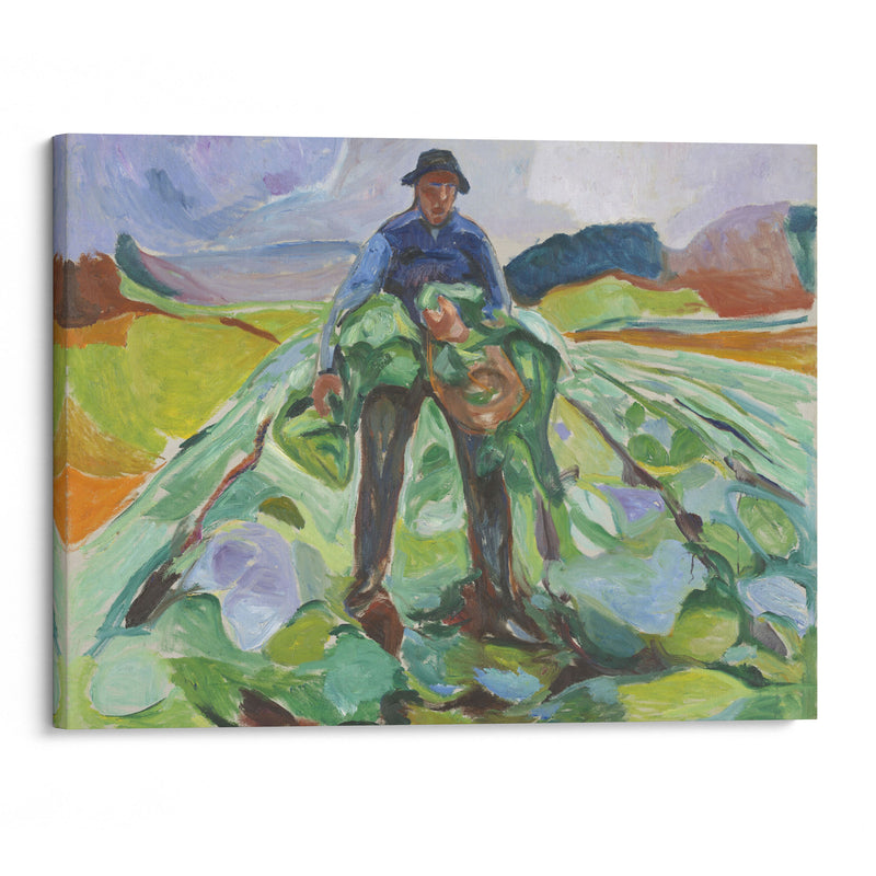 Man in the Cabbage Field (1916) - Edvard Munch - Canvas Print