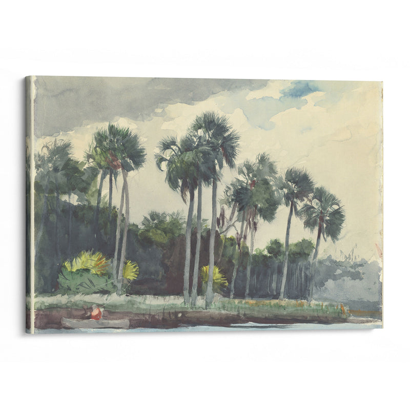 Red Shirt,Homosassa, Florida (1904) - Winslow Homer - Canvas Print