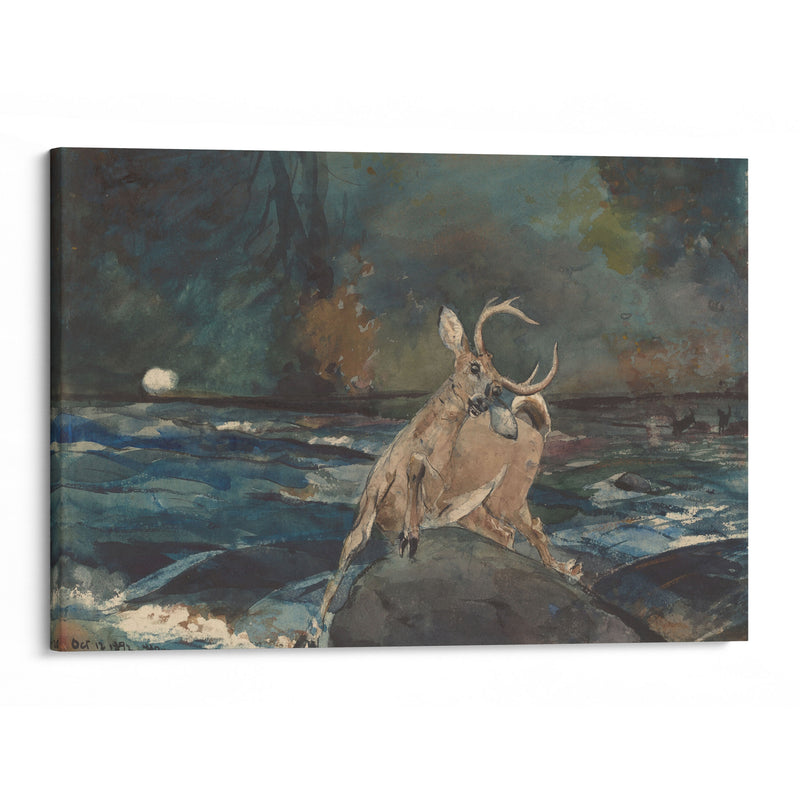 A Good Shot, Adirondacks (1892) - Winslow Homer - Canvas Print