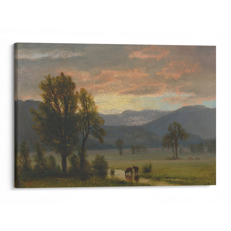 Landscape With Cattle - Albert Bierstadt - Canvas Print