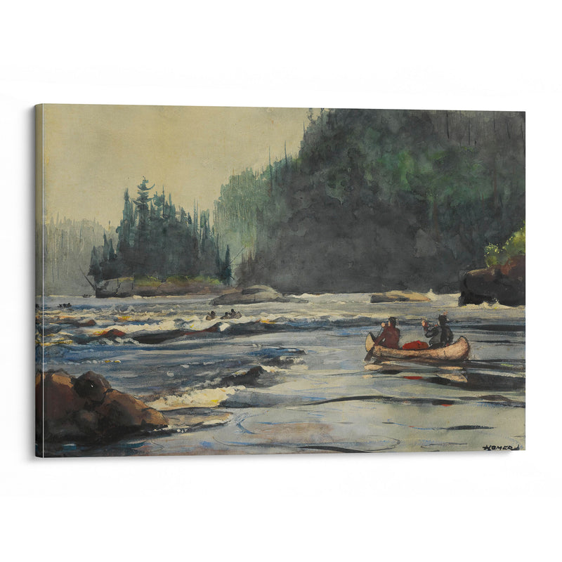 In the Rapids (1895) - Winslow Homer - Canvas Print