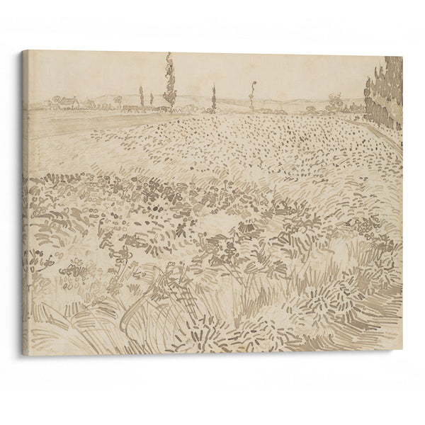 Wheat Field (1888) - Vincent van Gogh - Canvas Print
