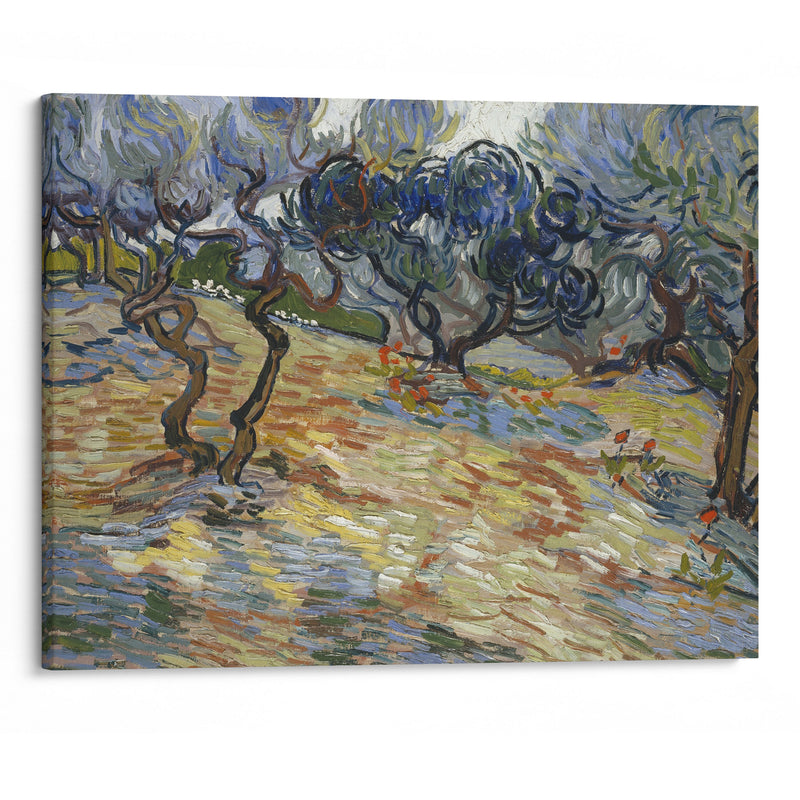 Olive Trees - Vincent van Gogh - Canvas Print - UAIO LMT