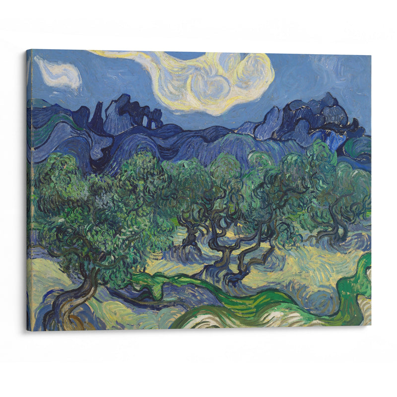 The Olive Trees (1889) - Vincent van Gogh - Canvas Print - UAIO LMT