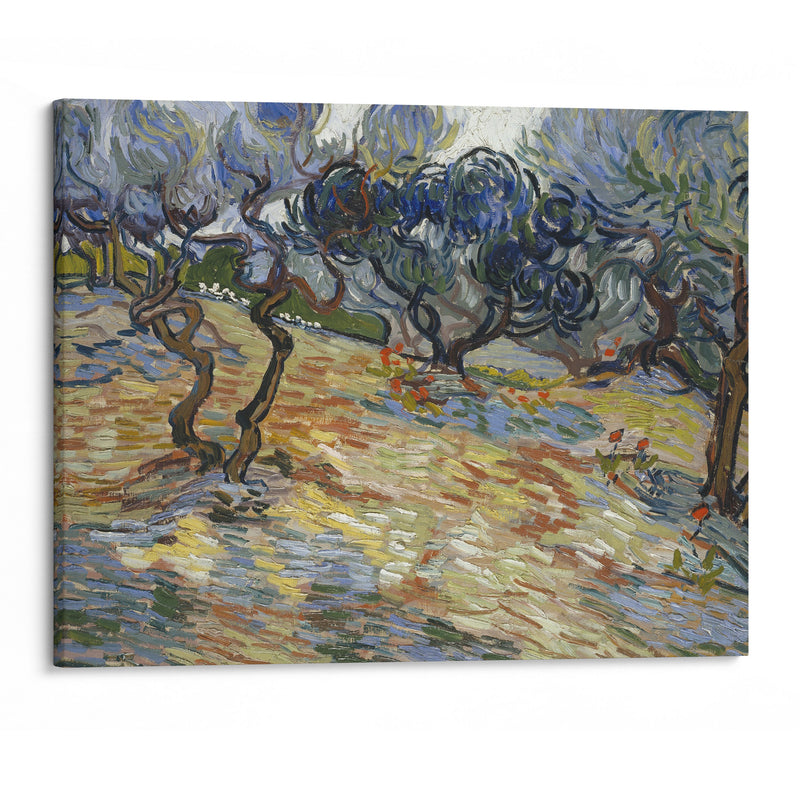 Olive Trees - Vincent van Gogh - Canvas Print - UAIO LMT