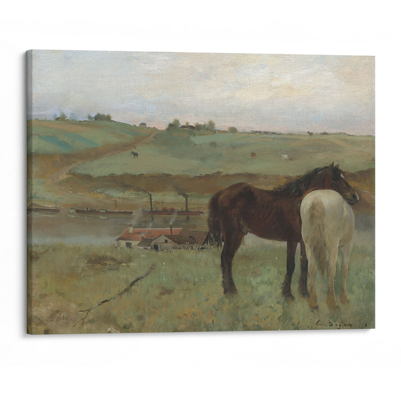 Horses in a Meadow (1871) - Edgar Degas - Canvas Print