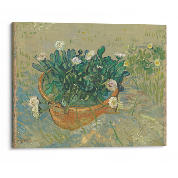 Daisies, Arles (1888) - Vincent van Gogh - Canvas Print