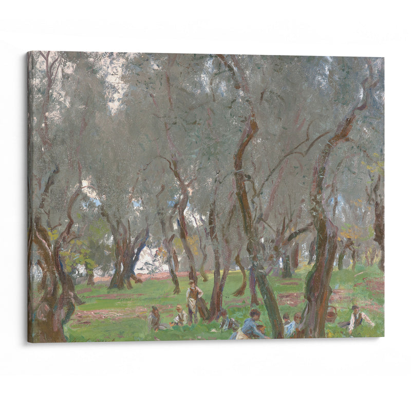 The Olive Grove (1910) - John Singer Sargent - Canvas Print