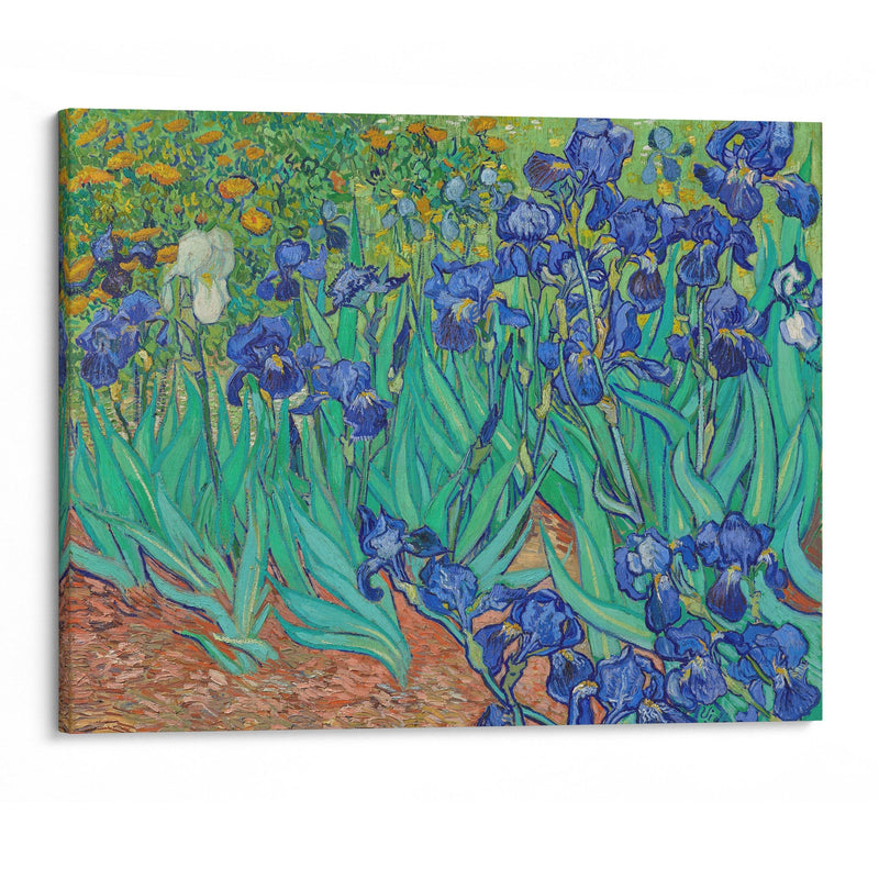 Irises (1889) - Vincent van Gogh - Canvas Print - UAIO LMT