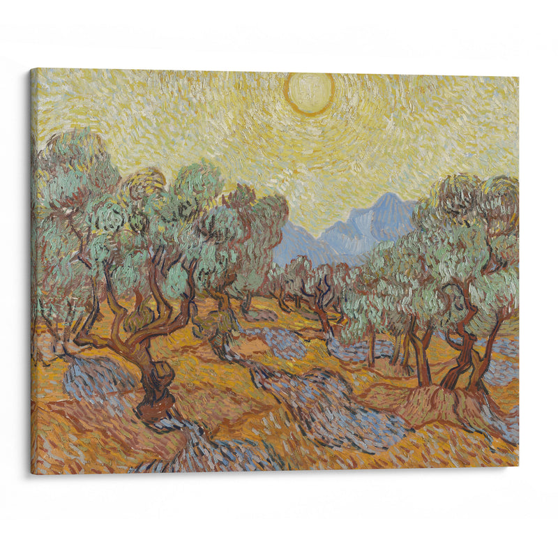 Olive Trees (1889) - Vincent van Gogh - Canvas Print - UAIO LMT