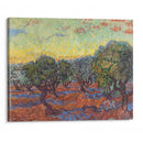 Olive Grove, Saint-Rémy (1889) - Vincent van Gogh - Canvas Print