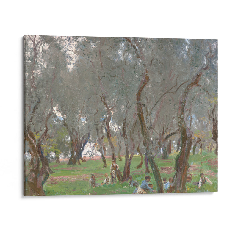 The Olive Grove (1910) - John Singer Sargent - Canvas Print