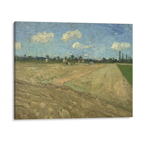 Ploughed fields (‘The furrows’) (1888) - Vincent van Gogh - Canvas Print