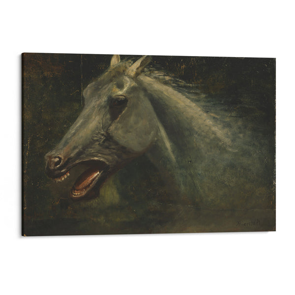 A Wild Stallion (an original oil sketch for ‘The Last of the Buffalo’) (circa 1888) - Albert Bierstadt - Canvas Print