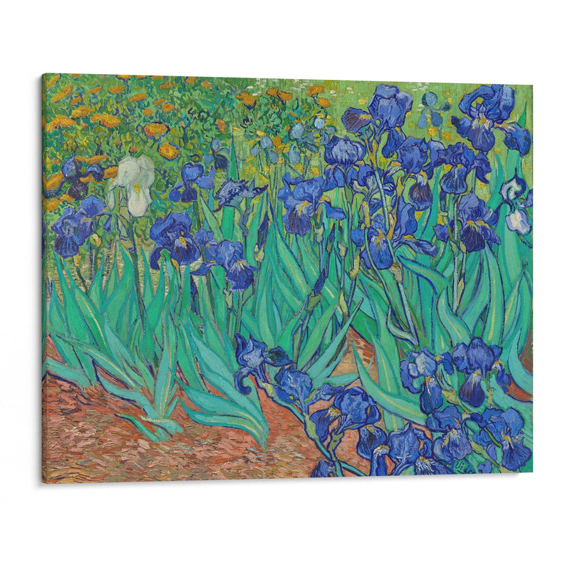 Irises (1889) - Vincent van Gogh - Canvas Print - UAIO LMT