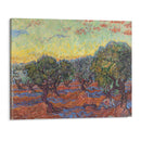 Olive Grove, Saint-Rémy (1889) - Vincent van Gogh - Canvas Print