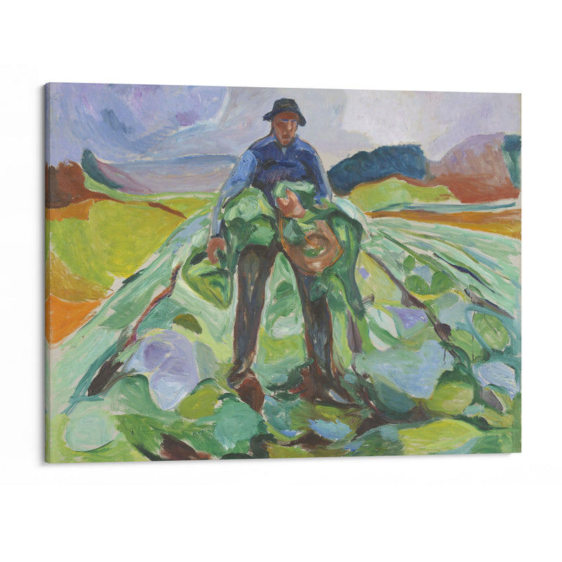 Man in the Cabbage Field (1916) - Edvard Munch - Canvas Print