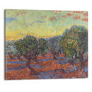 Olive Grove, Saint-Rémy (1889) - Vincent van Gogh - Canvas Print